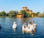 VIP дом Дом Солнца фото 3