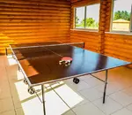 Настольный теннис Дом Солнца фото