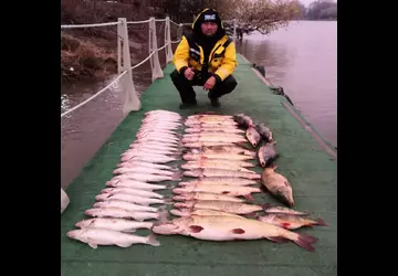 2019 Дом Солнца фото 24