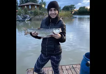 2019 Дом Солнца фото 37