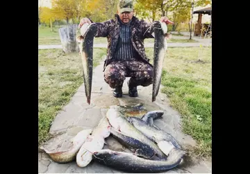 2021 Дом Солнца фото 3