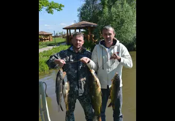 2016 Дом Солнца фото 23