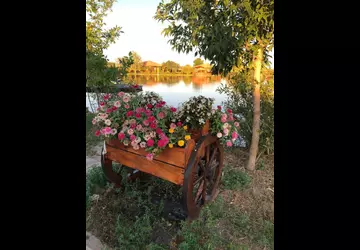 Лето на базе отдыха Дом Солнца Дом Солнца фото 2