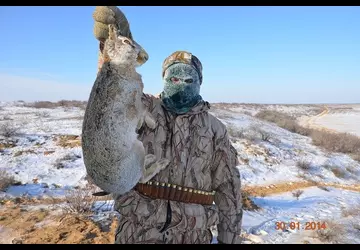 Охота в Астрахани Дом Солнца фото 30