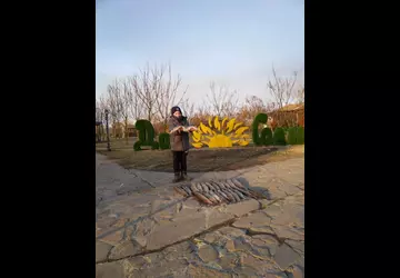 2024 Дом Солнца фото 13